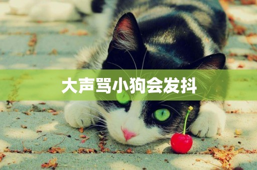 大聲罵小狗會發抖