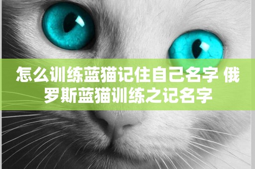 怎么訓練藍貓記住自己名字 俄羅斯藍貓訓練之記名字