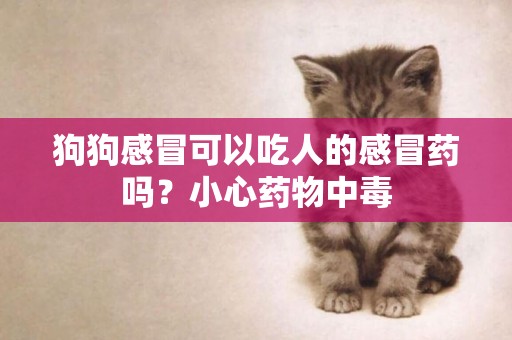 狗狗感冒可以吃人的感冒藥嗎？小心藥物中毒