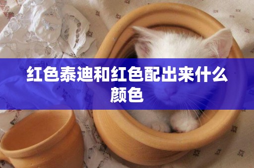 紅色泰迪和紅色配出來什么顏色