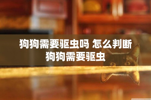 狗狗需要驅蟲嗎 怎么判斷狗狗需要驅蟲