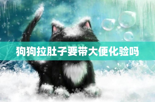 狗狗拉肚子要帶大便化驗嗎
