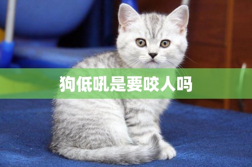 狗低吼是要咬人嗎
