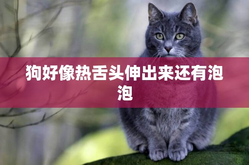 狗好像熱舌頭伸出來還有泡泡