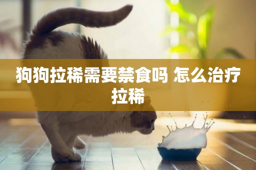 狗狗拉稀需要禁食嗎 怎么治療拉稀