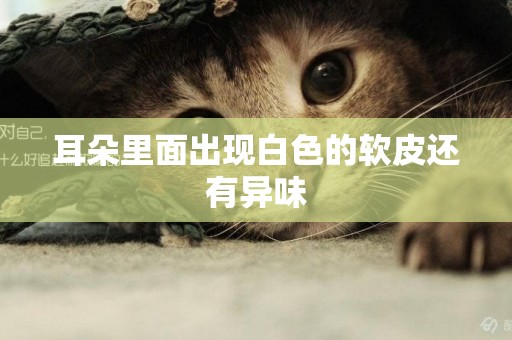 耳朵里面出現白色的軟皮還有異味