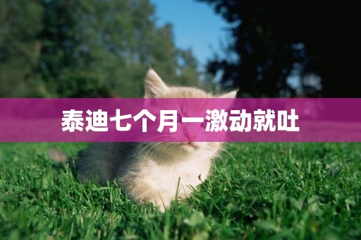 泰迪七個月一激動就吐