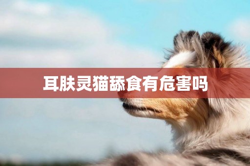 耳膚靈貓舔食有危害嗎