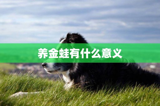 養金蛙有什么意義