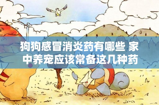 狗狗感冒消炎藥有哪些 家中養寵應該常備這幾種藥