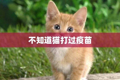 不知道貓打過疫苗