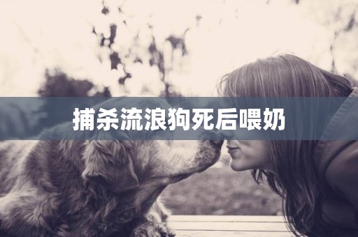 捕殺流浪狗死后喂奶