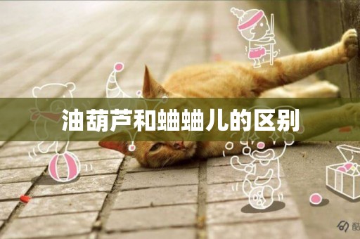 油葫蘆和蛐蛐兒的區別