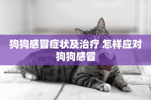 狗狗感冒癥狀及治療 怎樣應對狗狗感冒
