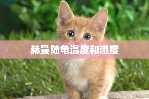 赫曼陸龜溫度和濕度