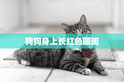 狗狗身上長紅色圓斑