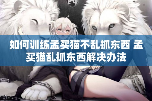 如何訓練孟買貓不亂抓東西 孟買貓亂抓東西解決辦法