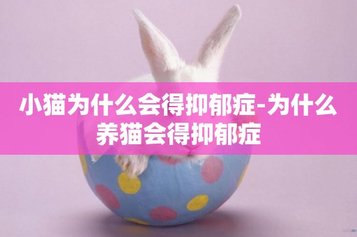 小貓為什么會得抑郁癥-為什么養貓會得抑郁癥