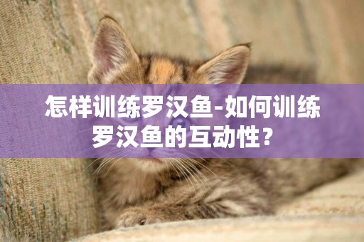 怎樣訓練羅漢魚-如何訓練羅漢魚的互動性？