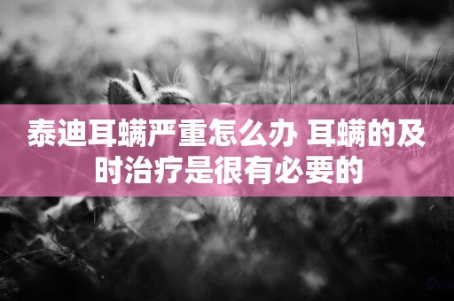 泰迪耳螨嚴重怎么辦 耳螨的及時治療是很有必要的