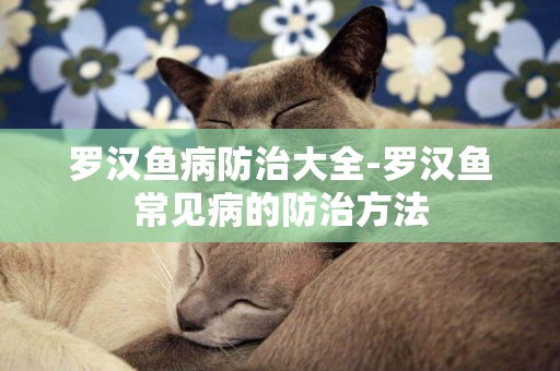 羅漢魚病防治大全-羅漢魚常見病的防治方法