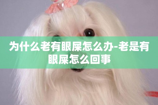 為什么老有眼屎怎么辦-老是有眼屎怎么回事