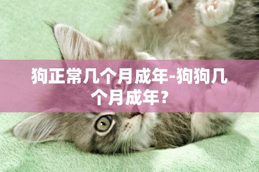 狗正常幾個月成年-狗狗幾個月成年？