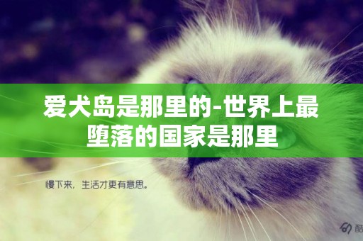 愛犬島是那里的-世界上最墮落的國家是那里