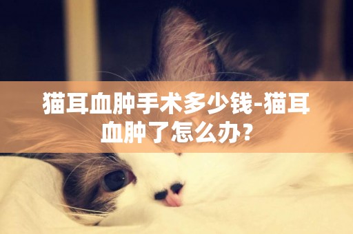 貓耳血腫手術多少錢-貓耳血腫了怎么辦？