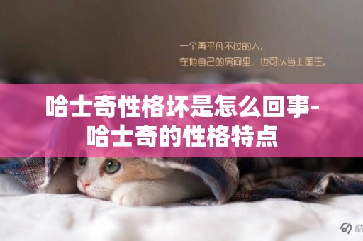 哈士奇性格壞是怎么回事-哈士奇的性格特點