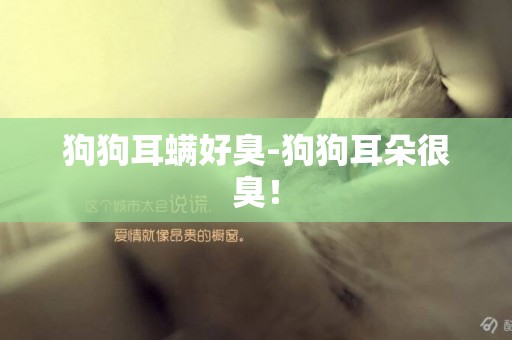 狗狗耳螨好臭-狗狗耳朵很臭！