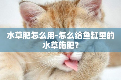 水草肥怎么用-怎么給魚缸里的水草施肥？