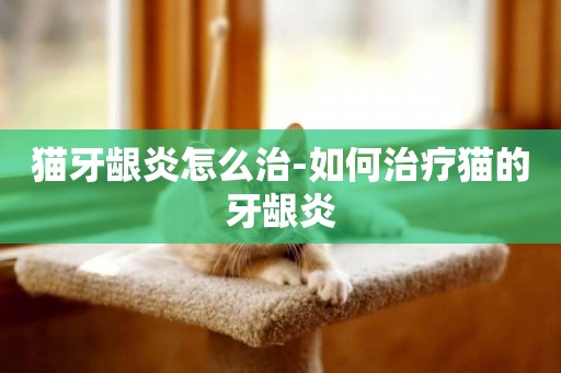 貓牙齦炎怎么治-如何治療貓的牙齦炎