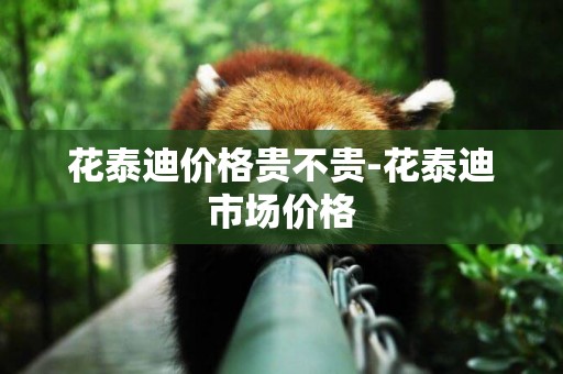 花泰迪價格貴不貴-花泰迪市場價格
