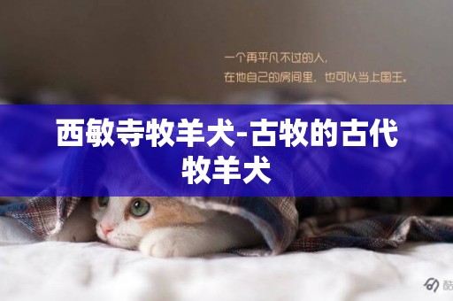 西敏寺牧羊犬-古牧的古代牧羊犬