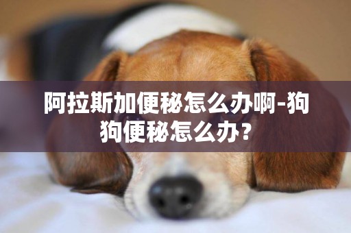 阿拉斯加便秘怎么辦啊-狗狗便秘怎么辦？