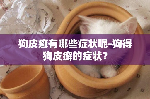 狗皮癬有哪些癥狀呢-狗得狗皮癬的癥狀？