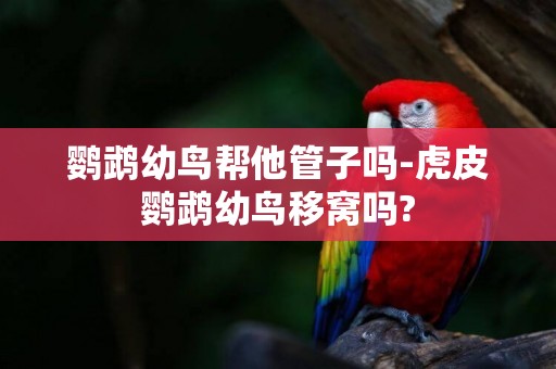 鸚鵡幼鳥幫他管子嗎-虎皮鸚鵡幼鳥移窩嗎?