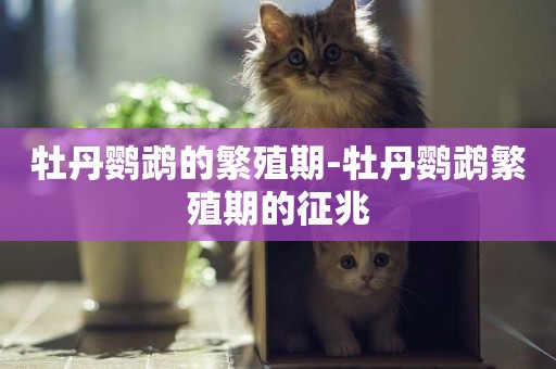 牡丹鸚鵡的繁殖期-牡丹鸚鵡繁殖期的征兆