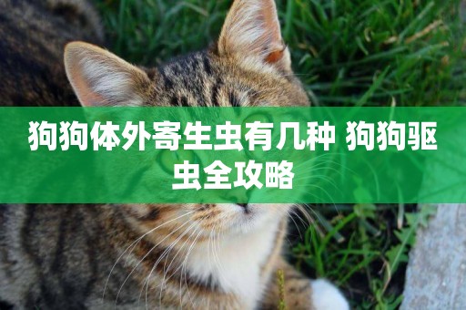 狗狗體外寄生蟲有幾種 狗狗驅蟲全攻略
