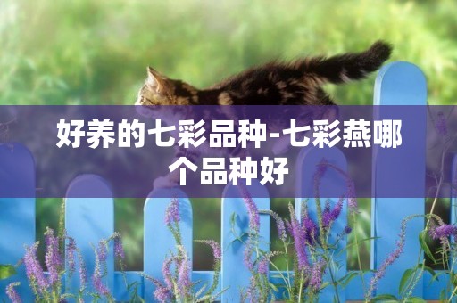 好養的七彩品種-七彩燕哪個品種好
