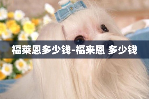 福萊恩多少錢-福來恩 多少錢