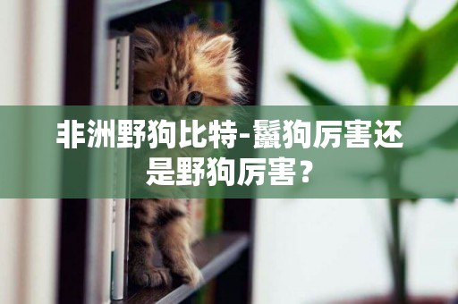 非洲野狗比特-鬣狗厲害還是野狗厲害？