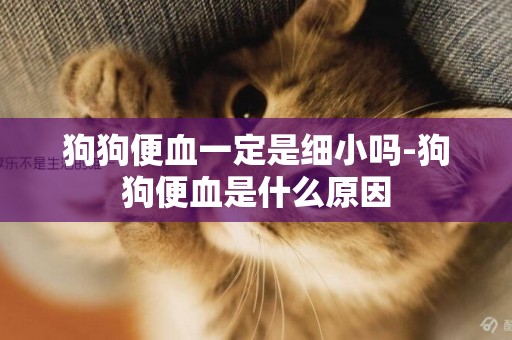 狗狗便血一定是細小嗎-狗狗便血是什么原因