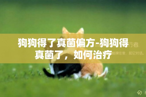 狗狗得了真菌偏方-狗狗得真菌了，如何治療