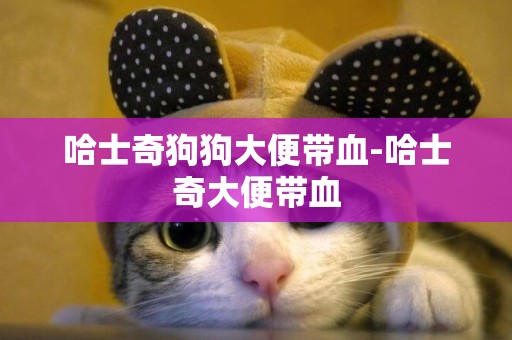 哈士奇狗狗大便帶血-哈士奇大便帶血