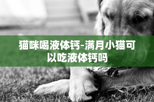 貓咪喝液體鈣-滿月小貓可以吃液體鈣嗎