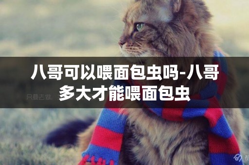 八哥可以喂面包蟲嗎-八哥多大才能喂面包蟲