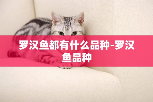 羅漢魚都有什么品種-羅漢魚品種