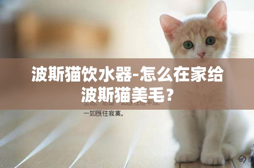 波斯貓飲水器-怎么在家給波斯貓美毛？